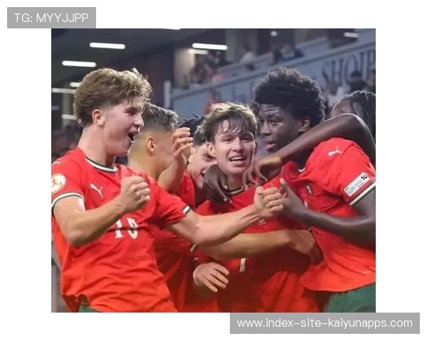 球队在欧洲杯中以严密防守见长,稳步推进,欧洲杯参赛球队分析 球队在欧洲杯中以严密防守见长,稳步推进,欧洲杯参赛球队分析