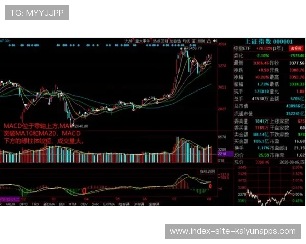 体育健身房连锁化趋势明显,资本布局加速 体育健身房连锁化趋势明显,资本布局加速